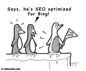 bing google seo optimizasyonu kim için