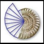 Salyangozdaki altın oran